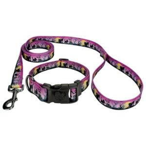 Country Brook Petz® Gunmetal Deluxe Graveyard Dog Collar and Leash, Extra Large