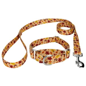 Country Brook Petz® Fall Foliage Martingale Dog Collar and Leash, Medium