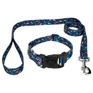 Country Brook Petz® Deluxe Dinosaurs Dog Collar and Leash, Small