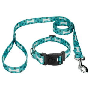 Country Brook Petz® Deluxe Oh My Dog Collar and Leash, Medium