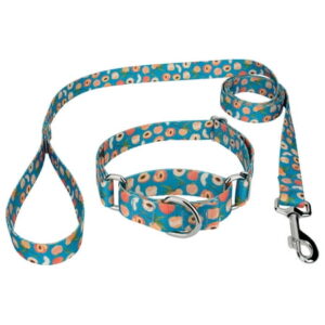 Country Brook Petz® Peaches Martingale Dog Collar and Leash, Small