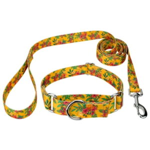 Country Brook Petz® Tropical Floral Martingale Dog Collar and Leash, Extra Large