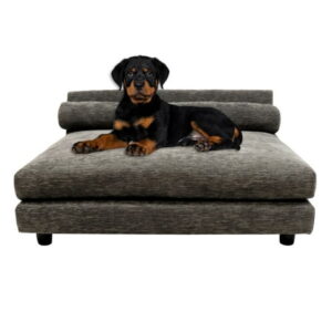 Club Nine Pets Roma Orthopedic Dog Bed, Elevated, Medium, Charcoal.