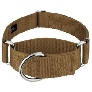 Country Brook Petz® 1 1/2 inch Coyote Tan Martingale Heavyduty Nylon Dog Collar, Medium