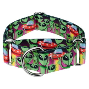 Country Brook Petz® 1 1/2 inch Space Aliens Martingale Dog Collar, Large