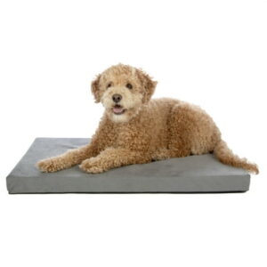 FurHaven Pet Products Mattress Edition Medium Memory Foam Dog Kennel & Crate Mat, Gray