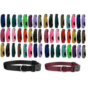 Dog Collar Shelter Rescue Vet Bulk Pack 50 Assorted Color Adjustable Choose Size (Large – 18 to 26 Inch)