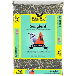 D&D Commodities Better Bird Songbird – 17 lbs