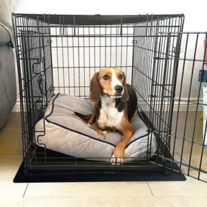 Floortex® Polypropylene Pet Crate Floor Mat – XL – 26″ x 38″