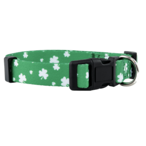 Native Pup St Patrick’s Day Dog Collar