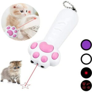 Pet LED Light Laser Cat Pointer Pen Teaser Kitten Mouse Paw Interactive Toy