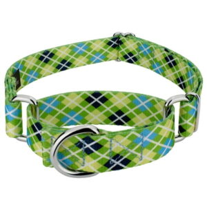 Country Brook Petz® Margarita Argyle Martingale Dog Collar, Medium