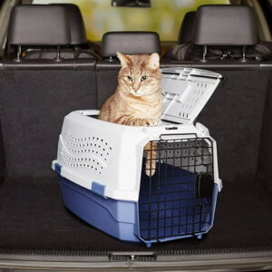 2-Door Top-Load Hard-Sided Dogs, Cats Pet Travel Carrier, Gray & Blue, 22.8″L x 15.0″W x 13.0″H