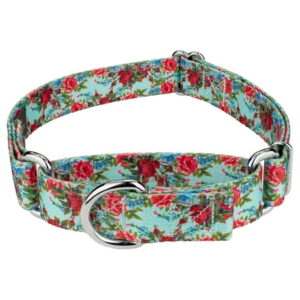 Country Brook Petz® Vintage Roses Martingale Dog Collar, Extra Small