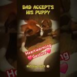 Adorable Dog Welcomes New Puppy With Heartwarming Gesture🥰🥰🐶