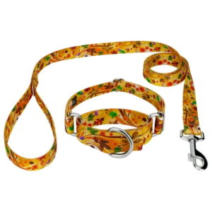 Country Brook Petz® Autumn Wind Martingale Dog Collar and Leash, Extra Large