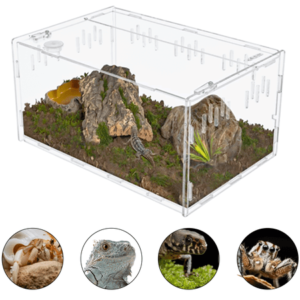 AIWFL Acrylic Reptile Terrarium, 15” × 10” Climbing Pet Display Case, Reptile Breeding Box for Insect, Snake, Lizard, Spider, Frog , Clear