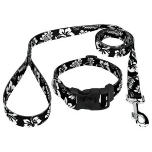 Country Brook Design® Black Hawaiian Deluxe Dog Collar & Leash