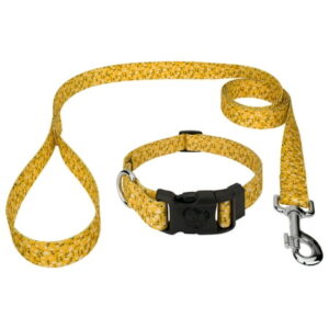 Country Brook Petz® Deluxe Spring Cottagecore Dog Collar and Leash, Medium