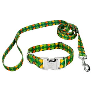 Country Brook Petz® Premium Limerick Argyle Dog Collar and Leash, Large