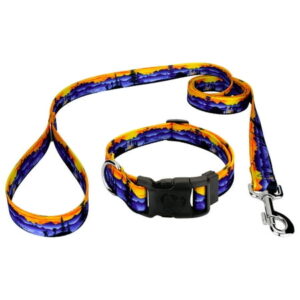 Deluxe Great Outdoors Dog Collar and Leash, Medium