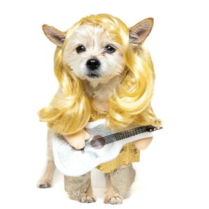 Vibrant Life Halloween Dog Costume and Cat Costume: Rock Star, Size Extra-Small