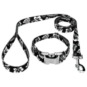 Country Brook Design® Black Hawaiian Premium Dog Collar & Leash