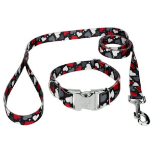 Country Brook Petz® Premium Be Mine Dog Collar and Leash, Large