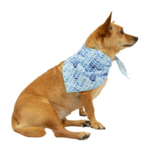 Vibrant Life Blue Could Use a Treat Bandana Set, Neckwear for Dogs of All Life Stages, Size Medium