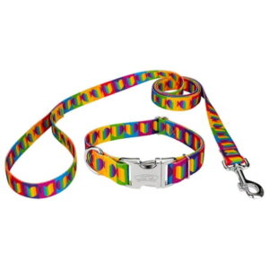 Country Brook Petz® Premium Rainbow Hearts Dog Collar and Leash, Large