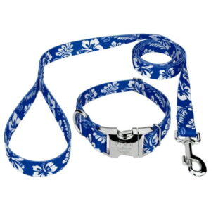 Country Brook Petz® Premium Royal Blue Hawaiian Dog Collar and Leash, Large