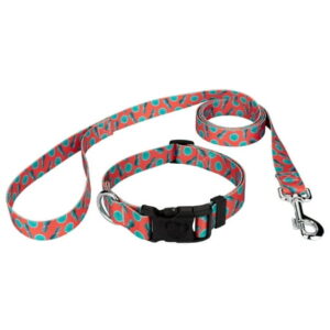 Country Brook Petz® Deluxe Tropical Tango Dog Collar and Leash, Extra Small