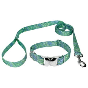 Country Brook Petz® Premium Green Paisley Collar and Leash, Large