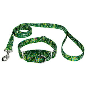 Country Brook Petz® Christmas Cheer Martingale Dog Collar and Leash, 2XS