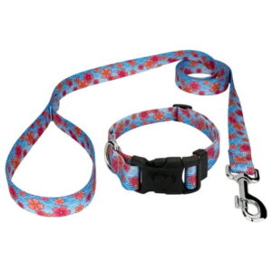 Country Brook Petz® Pink April Blossoms Deluxe Dog Collar and Leash, Large