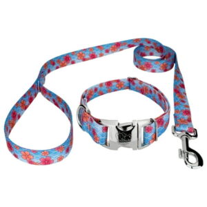 Country Brook Petz® Premium Pink April Blossoms Dog Collar and Leash, Extra Large