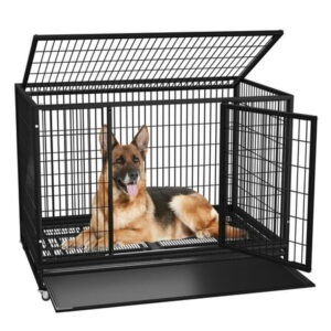 Boldbone 48/38 inch Heavy Duty Dog Crate for Large Dogs, Folding Dog Kennels and Metal Wire Cages with Leak-Proof Pan, Removable Wire Tray, Removable Wheels, Extra Large XL XXL for Outdoor