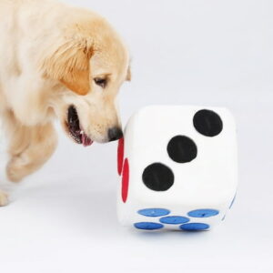 TUWABEII Kids Interactive Toys Pet Training Toy Training Toy Color Dice Shape Pet Accessories