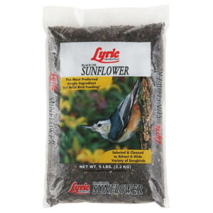 Lyric Black Oil Sunflower Seeds – 5 lb. Bag