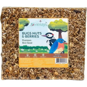 JCs Wildlife Bugs, Nuts and Berries Premium 6″ Large Cake