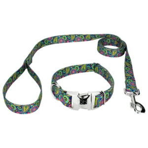 Country Brook Petz® Premium Bright Paisley Dog Collar and Leash, Large