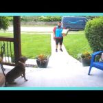 Nervous Amazon Driver Has Wholesome Conversation With Dog