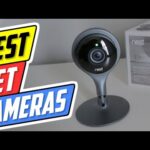 Top 5 Pet Cameras in 2024 👌