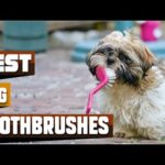 Best Dog Toothbrushes In 2024 – Top 10 Dog Toothbrushes Review