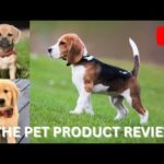 THE PET PRODUCT REVIEW