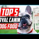 ✅Top 5 Best Royal Canin Dog Food Reviews in 2024