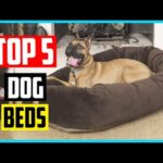 ✅ The 5 Best Dog Beds in 2024 Review