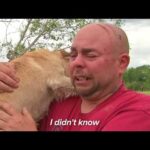 Dogs Meet Owners After Tornadoes