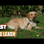 Best Dog Leash In 2024 – Top 10 Dog Leashes Review