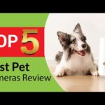 Top 5 Best Pet Cameras Review of 2024 [Buying Guide]